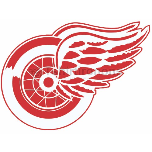 Detroit Red Wings T-shirts Iron On Transfers N140